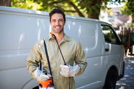 Emergency Pest Control Services in Springfield, VA